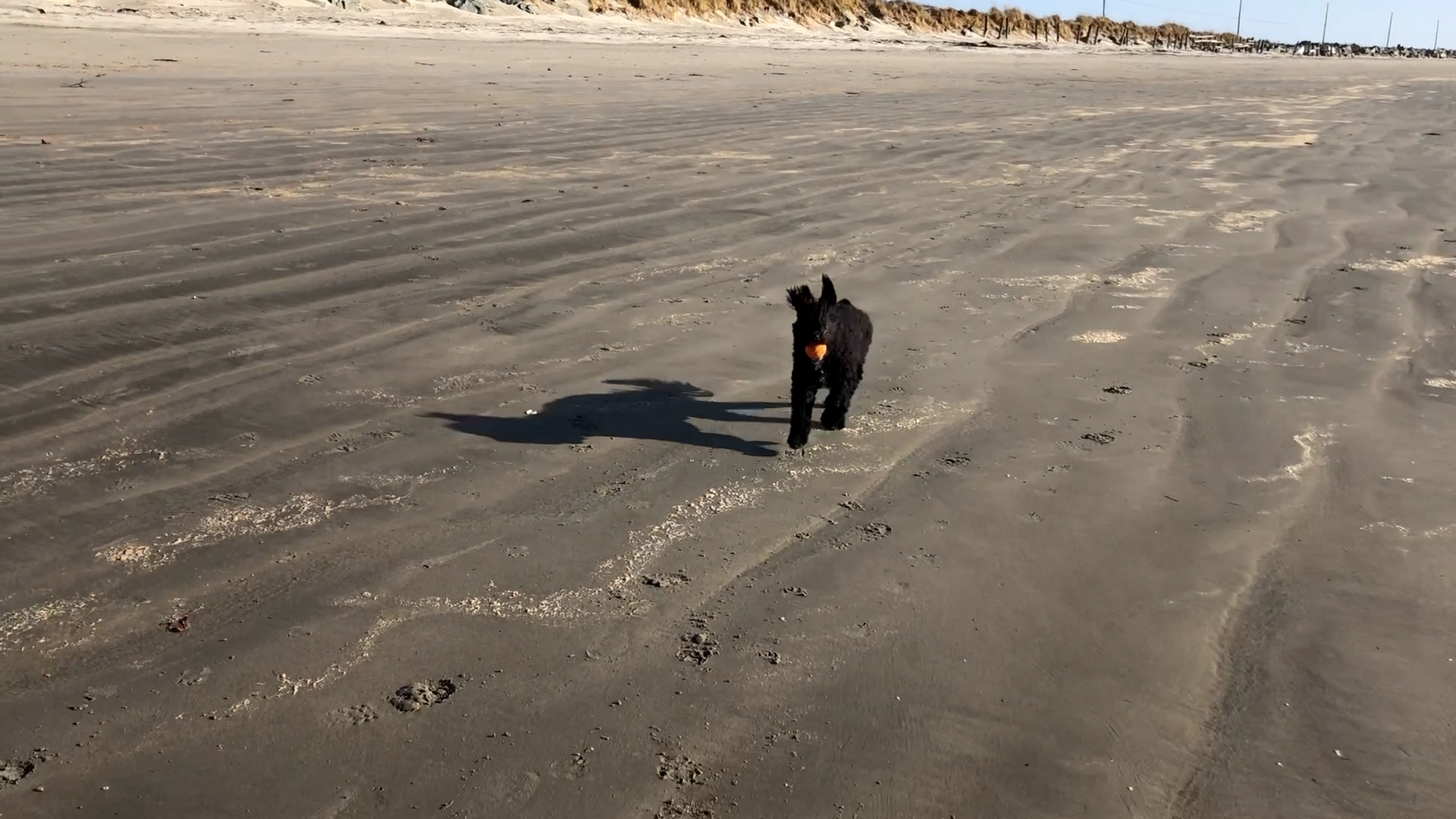 A windy day at Crescent Beach