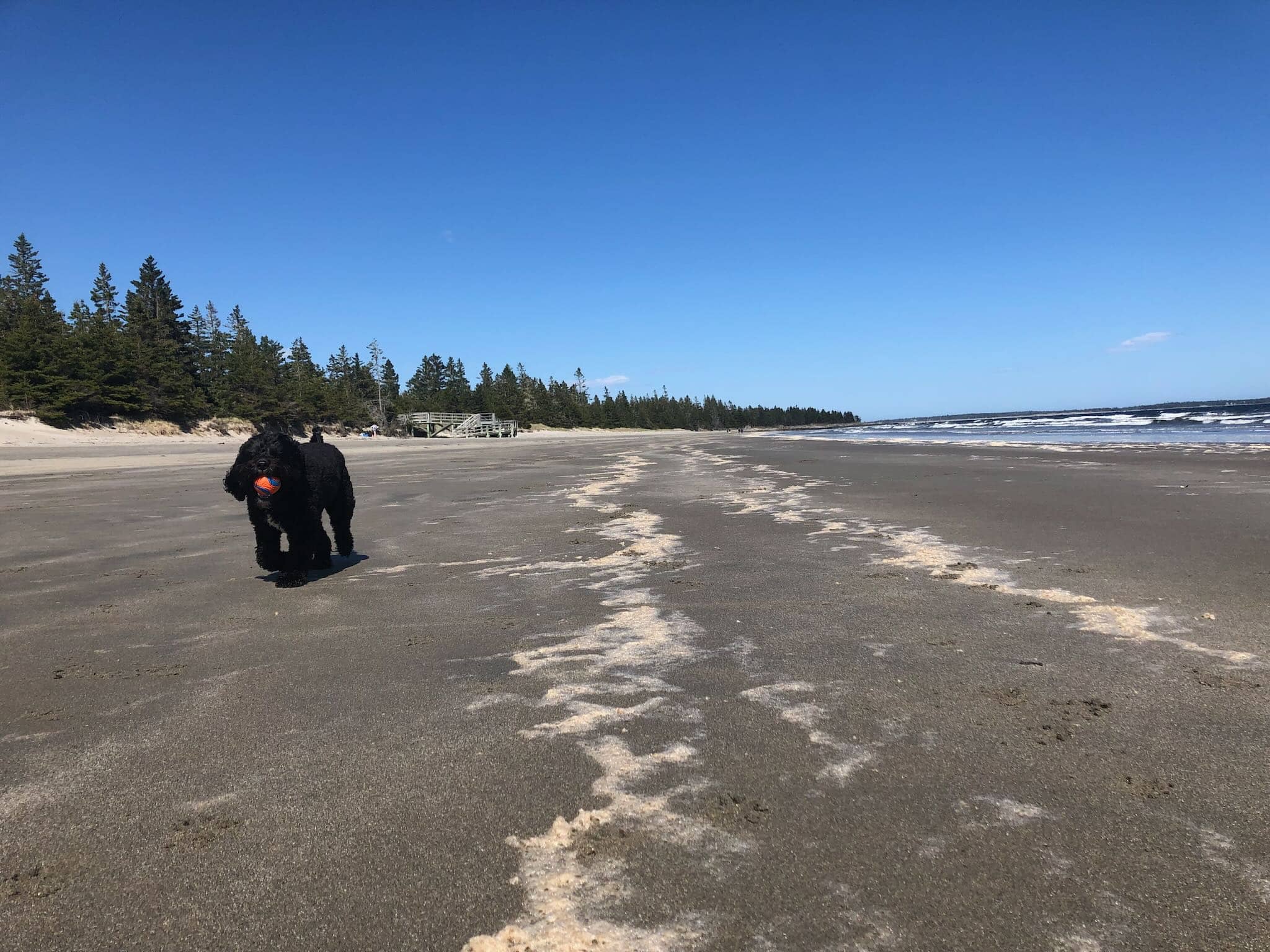 A day at Risser’s Beach